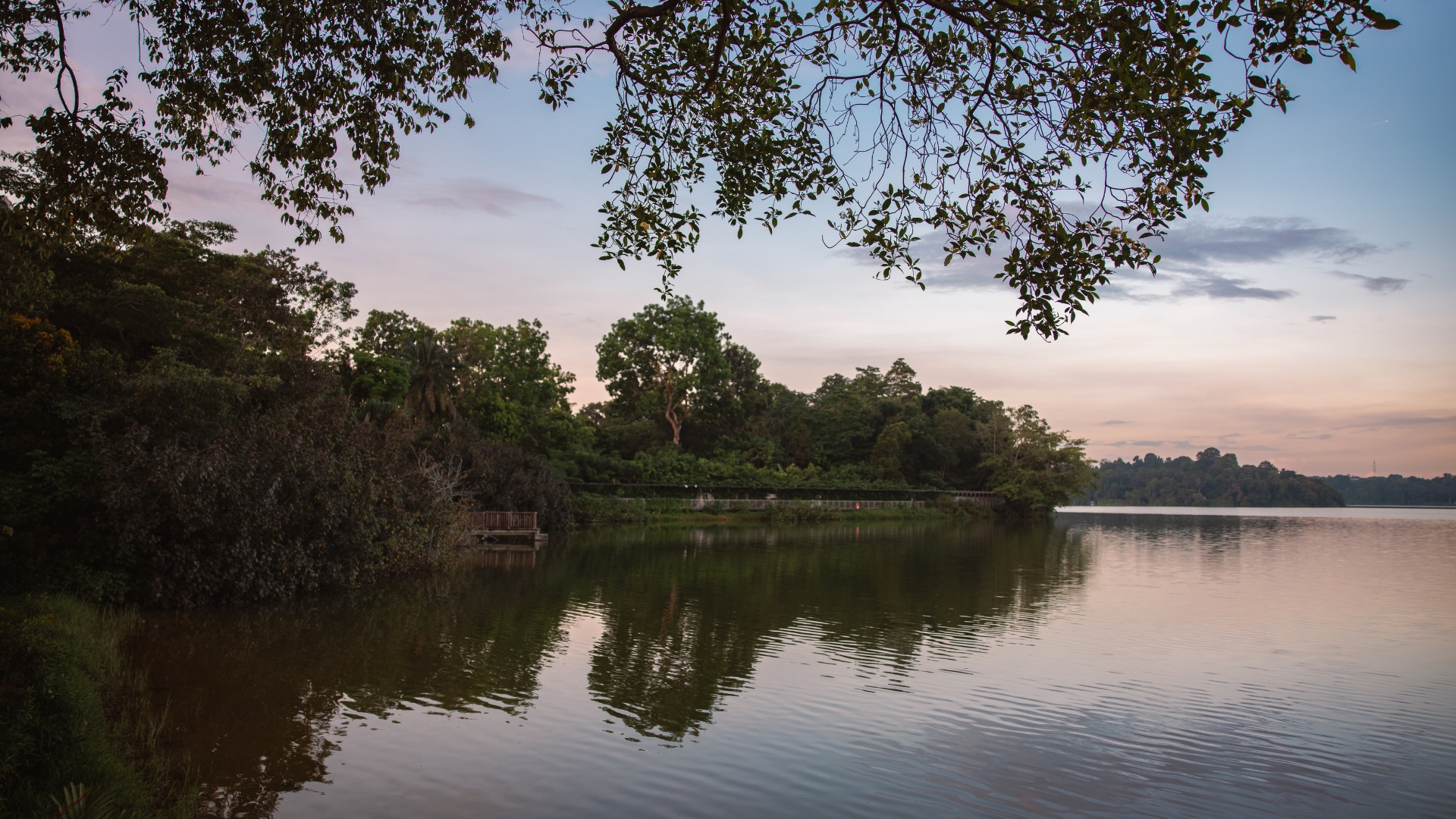 Mandai Rainforest Resort by Banyan Tree-view from boardwalk
